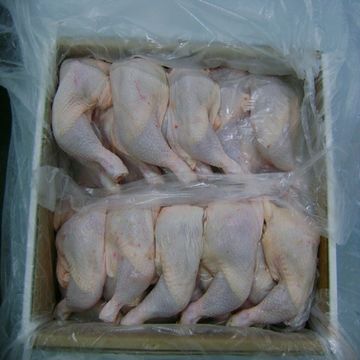 Poultry